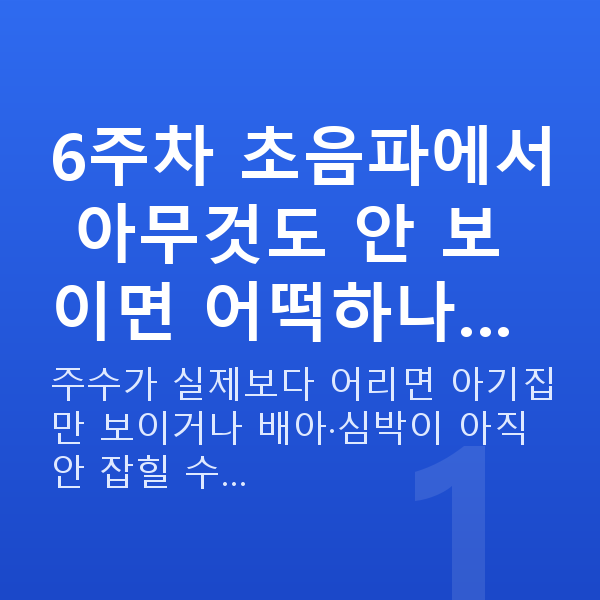 임신 6주차 초음파 6주차 초음파에서 아무것도 안 보이면 어떡하나…