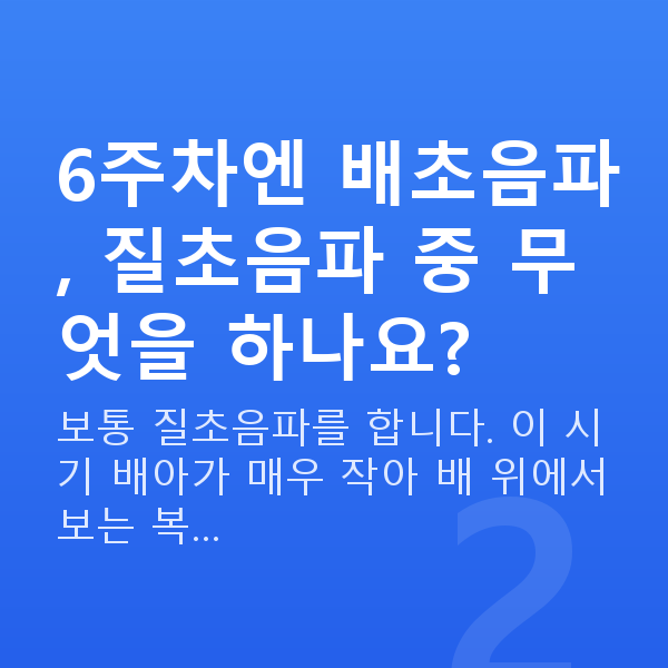 임신 6주차 초음파 6주차엔 배초음파, 질초음파 중 무엇을 하나요?