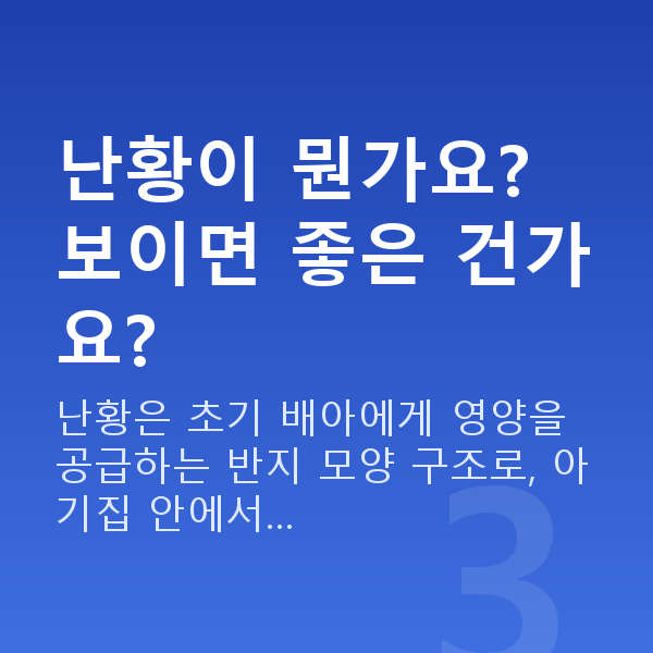 임신 6주차 초음파 난황이 뭔가요? 보이면 좋은 건가요?