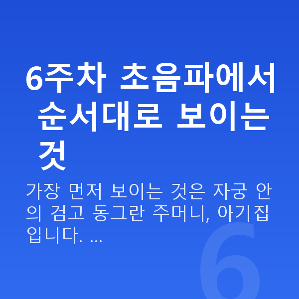 임신 6주차 초음파 6주차 초음파에서 순서대로 보이는 것
