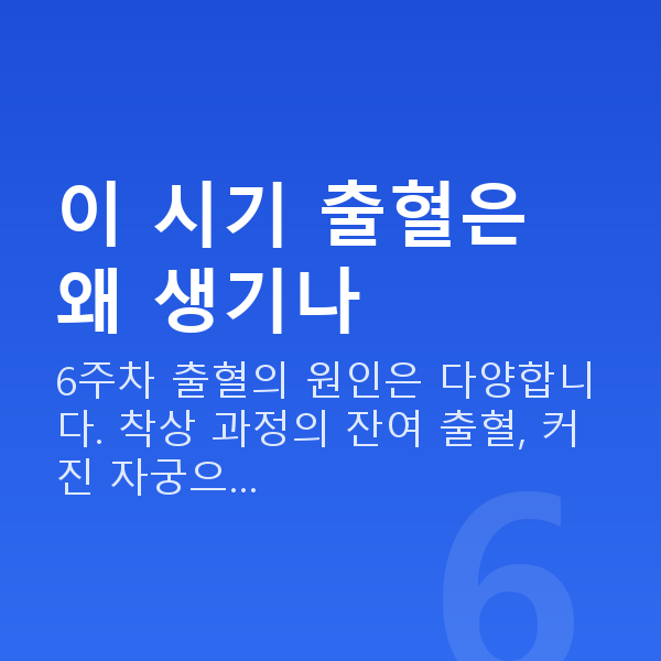 임신 6주차 출혈 이 시기 출혈은 왜 생기나