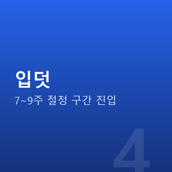 임신 7주차 입덧