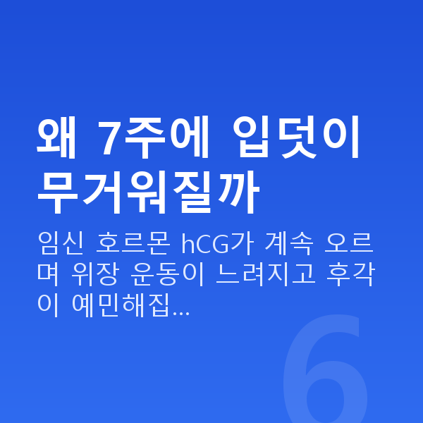 임신 7주차 입덧 왜 7주에 입덧이 무거워질까