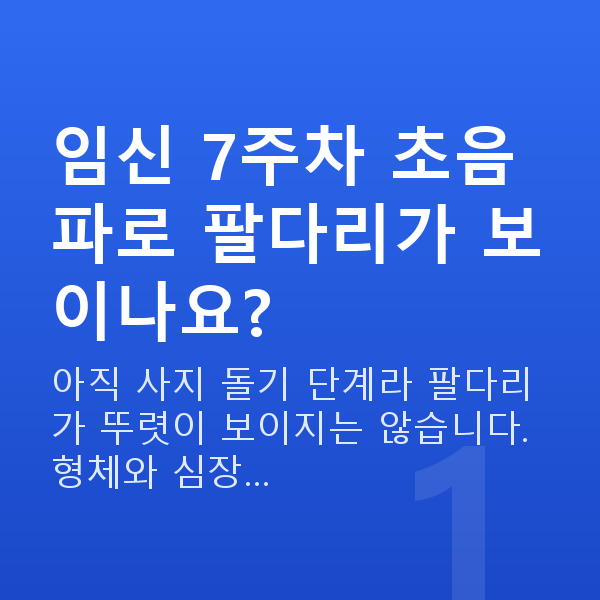 임신 7주차 초음파 임신 7주차 초음파로 팔다리가 보이나요?