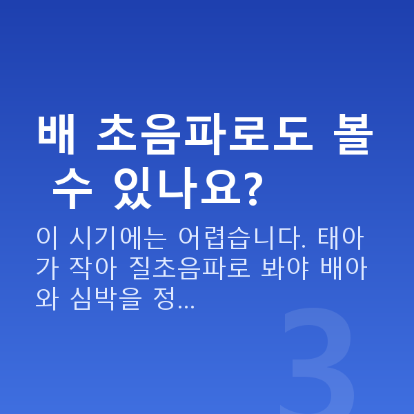 임신 7주차 초음파 배 초음파로도 볼 수 있나요?