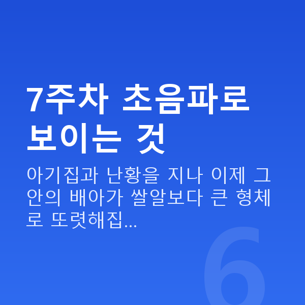 임신 7주차 초음파 7주차 초음파로 보이는 것