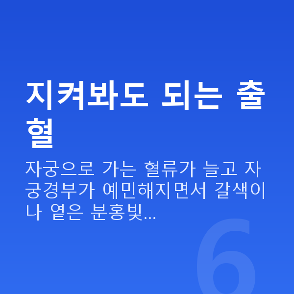 임신 7주차 출혈 지켜봐도 되는 출혈