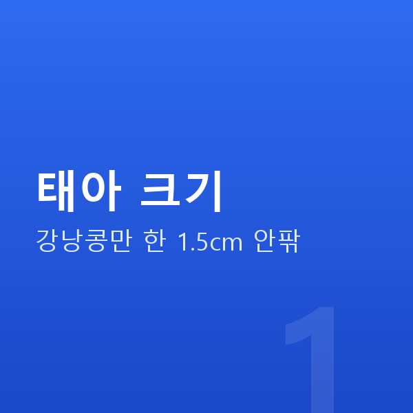 임신 8주차 태아 크기