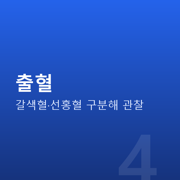 임신 8주차 출혈