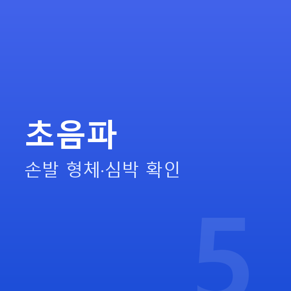 임신 8주차 초음파