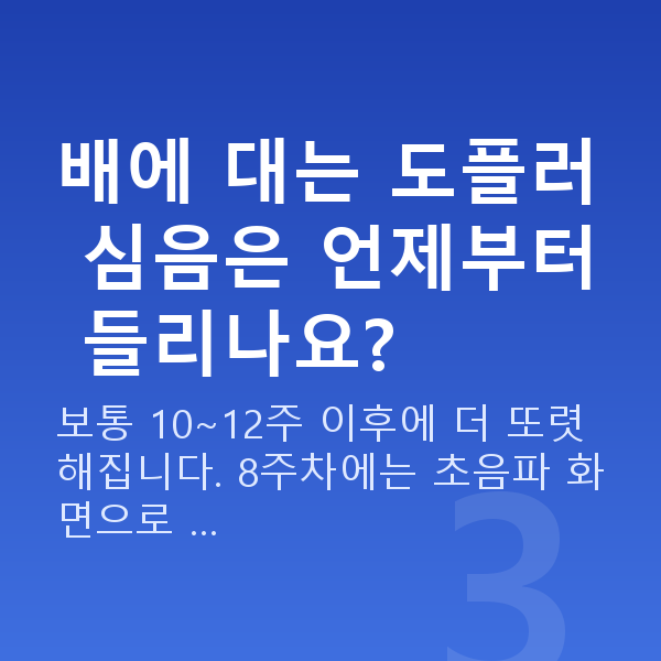 임신 8주차 심장소리 배에 대는 도플러 심음은 언제부터 들리나요?