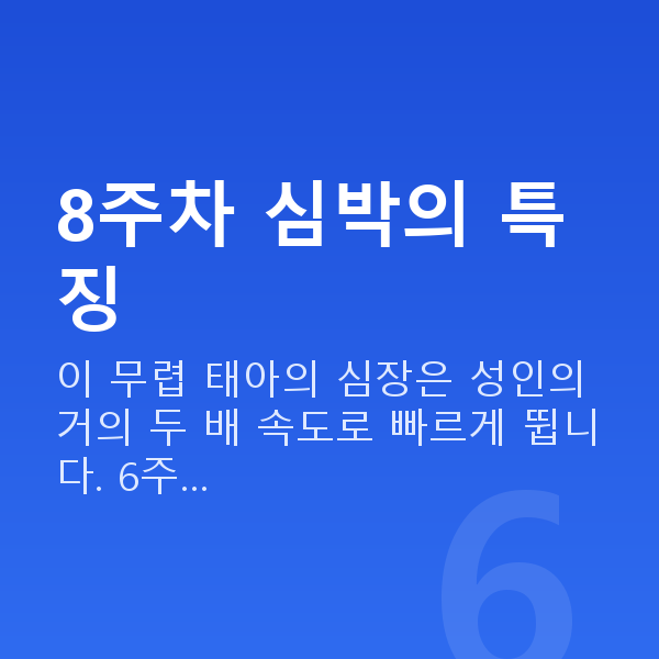 임신 8주차 심장소리 8주차 심박의 특징