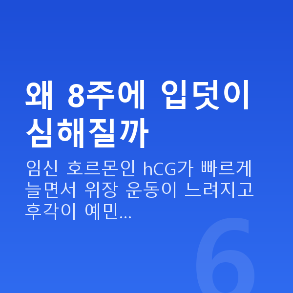 임신 8주차 입덧 왜 8주에 입덧이 심해질까