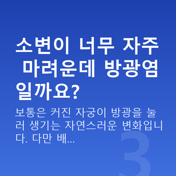 임신 8주차 증상 소변이 너무 자주 마려운데 방광염일까요?