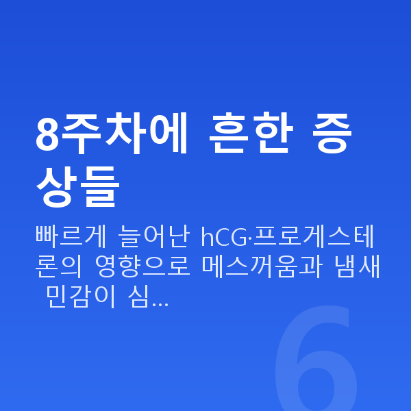 임신 8주차 증상 8주차에 흔한 증상들