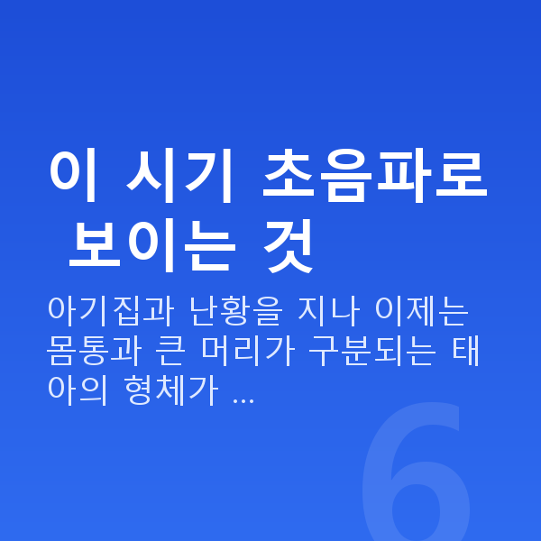 임신 8주차 초음파 이 시기 초음파로 보이는 것