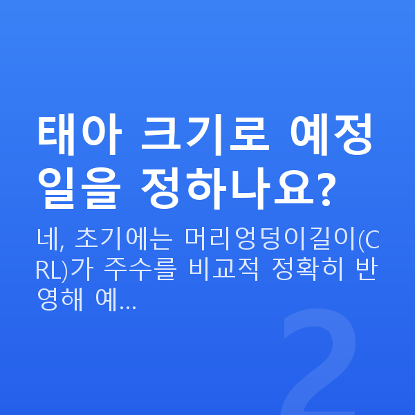 임신 8주차 태아크기 태아 크기로 예정일을 정하나요?