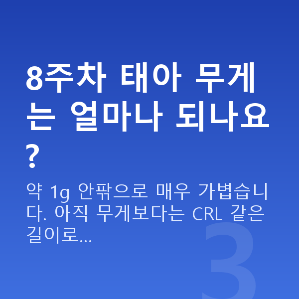 임신 8주차 태아크기 8주차 태아 무게는 얼마나 되나요?