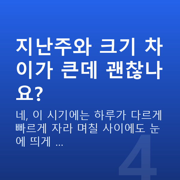 임신 8주차 태아크기 지난주와 크기 차이가 큰데 괜찮나요?