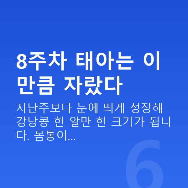 임신 8주차 태아크기 8주차 태아는 이만큼 자랐다