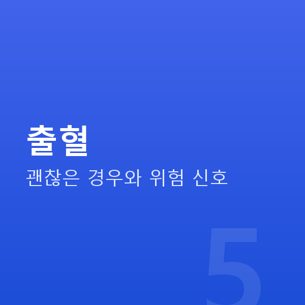 임신 9주차 출혈
