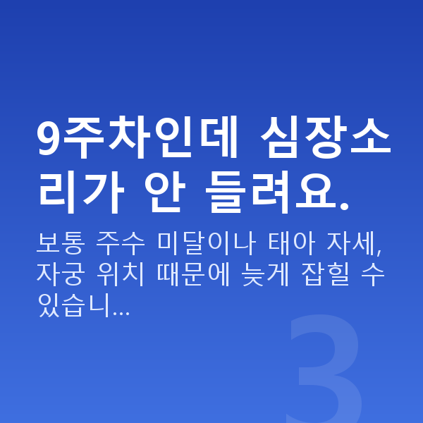임신 9주차 심장소리 9주차인데 심장소리가 안 들려요.