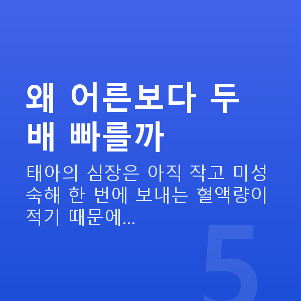 임신 9주차 심장소리 왜 어른보다 두 배 빠를까