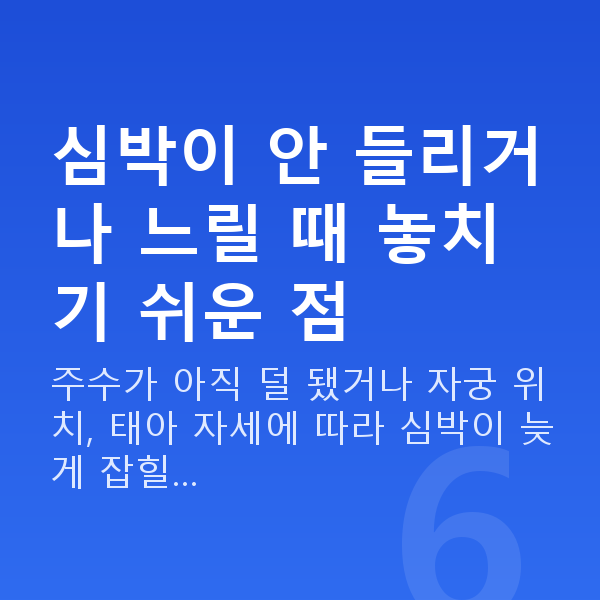 임신 9주차 심장소리 심박이 안 들리거나 느릴 때 놓치기 쉬운 점