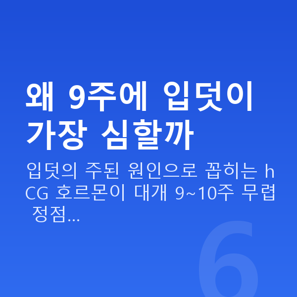 임신 9주차 입덧 왜 9주에 입덧이 가장 심할까