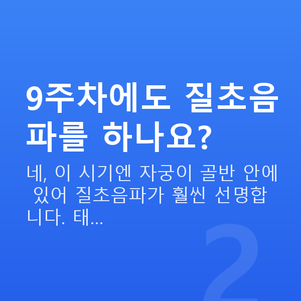 임신 9주차 초음파 9주차에도 질초음파를 하나요?