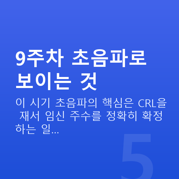 임신 9주차 초음파 9주차 초음파로 보이는 것