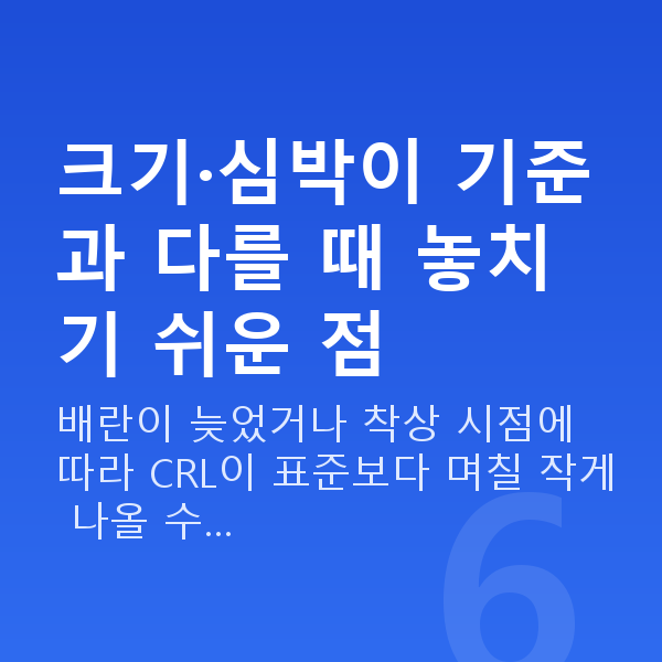 임신 9주차 초음파 크기·심박이 기준과 다를 때 놓치기 쉬운 점