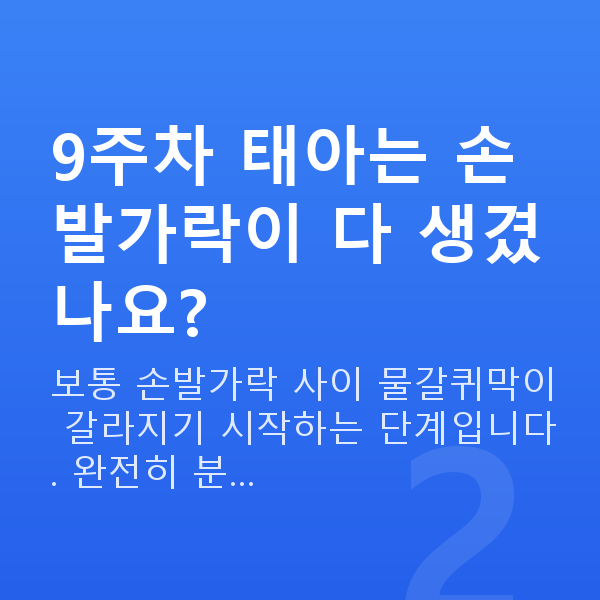 임신 9주차 태아크기 9주차 태아는 손발가락이 다 생겼나요?