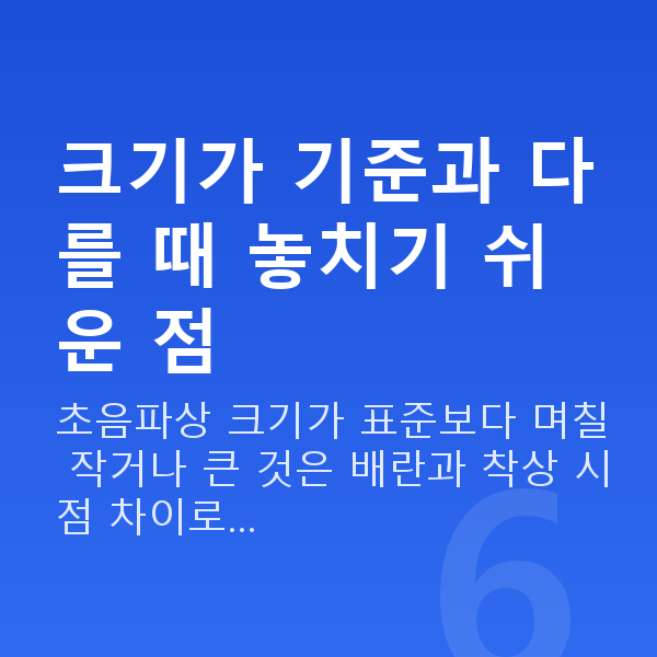 임신 9주차 태아크기 크기가 기준과 다를 때 놓치기 쉬운 점