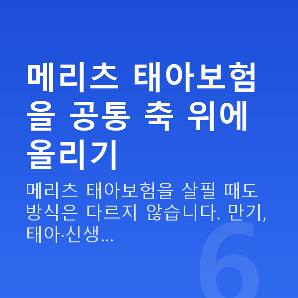 메리츠 태아보험 메리츠 태아보험을 공통 축 위에 올리기