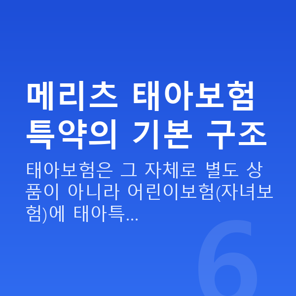 메리츠 태아보험 특약 메리츠 태아보험 특약의 기본 구조
