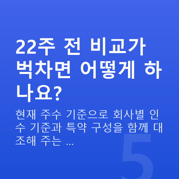 태아보험 22주 22주 전 비교가 벅차면 어떻게 하나요?
