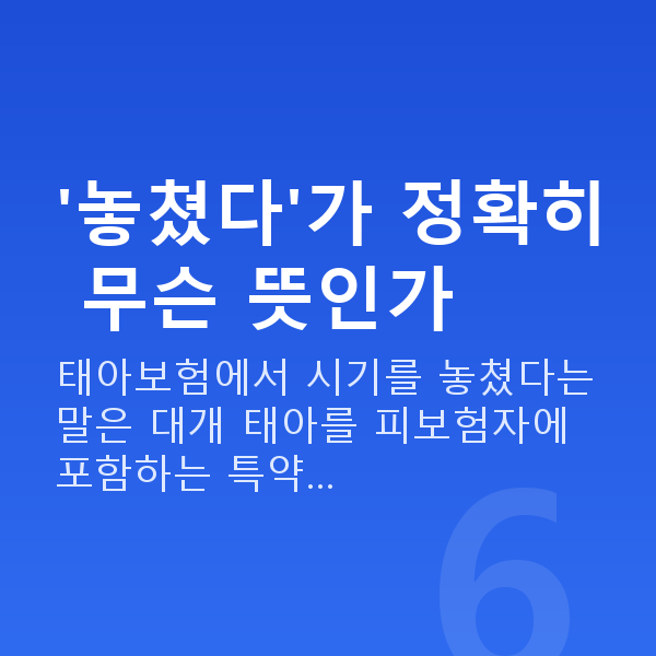 태아보험 가입시기 놓침 '놓쳤다'가 정확히 무슨 뜻인가