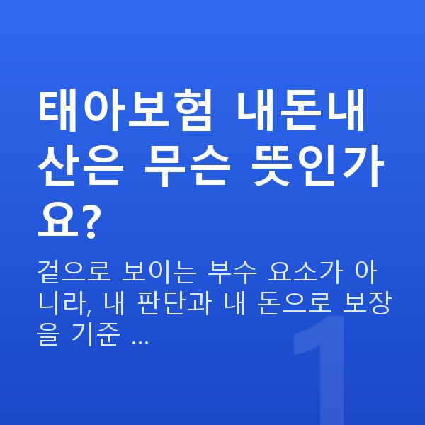 태아보험 내돈내산 태아보험 내돈내산은 무슨 뜻인가요?