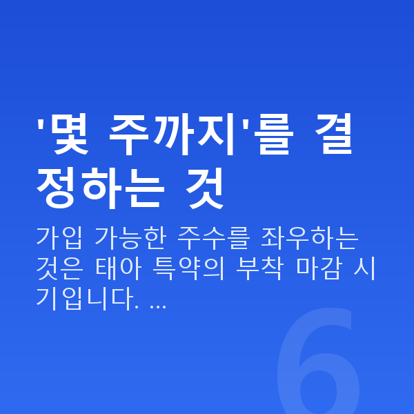 태아보험 몇 주까지 '몇 주까지'를 결정하는 것