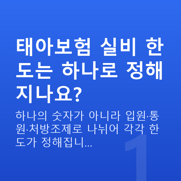 태아보험 실비 한도 태아보험 실비 한도는 하나로 정해지나요?