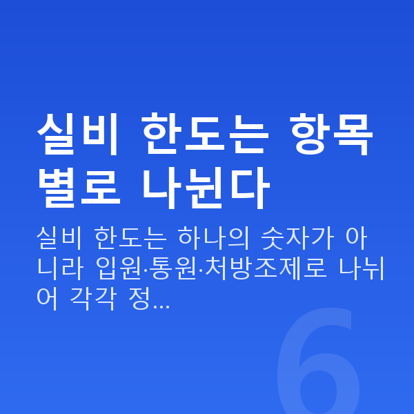 태아보험 실비 한도 실비 한도는 항목별로 나뉜다